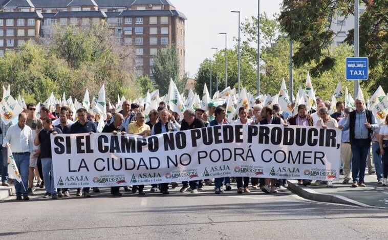 El campo avisa: «El granero de España puede mermar de manera importante»