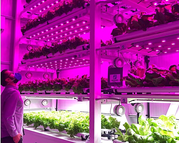 Las novedosas soluciones de Novagric