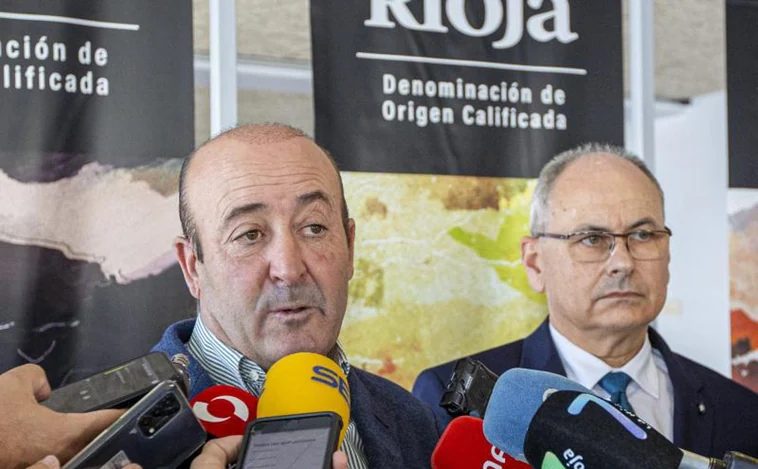 Pulso a 'Viñedos de Álava': La Denominación de Origen Rioja recurrirá ante el Gobierno vasco
