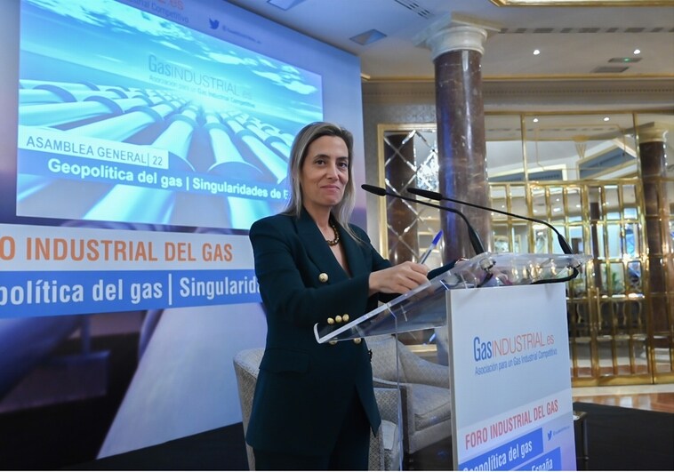 La industria advierte de una posible deslocalización por los altos precios del gas