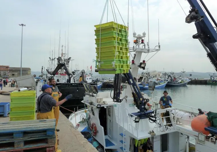 El sector pesquero lanza su mejor anzuelo para «reenamorar» al consumidor
