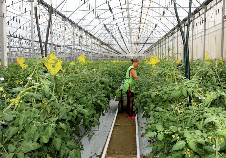 Abono colaborativo desde el sur para la agricultura española del siglo XXI