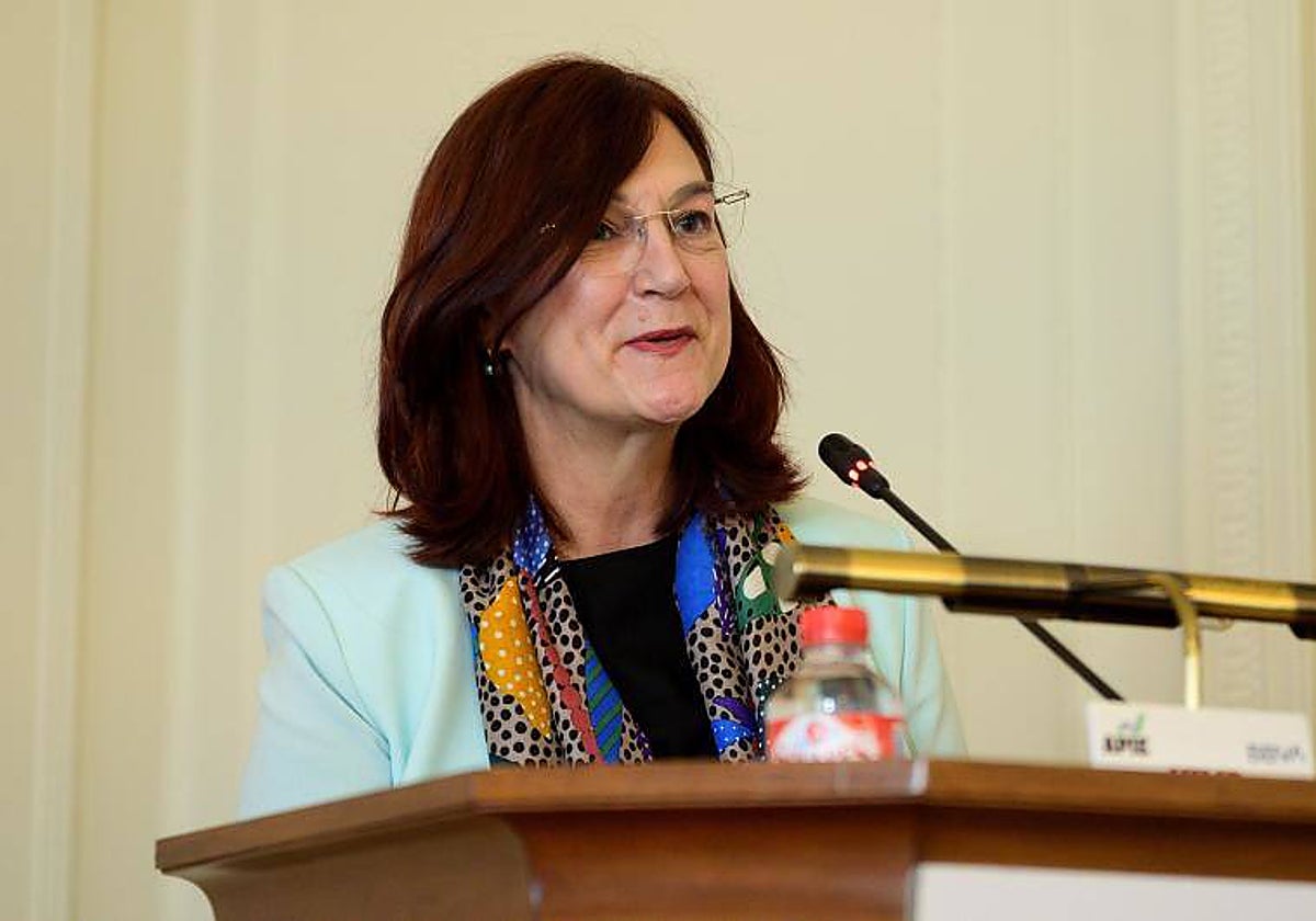 Cani Fernández, presidenta de la CNMC