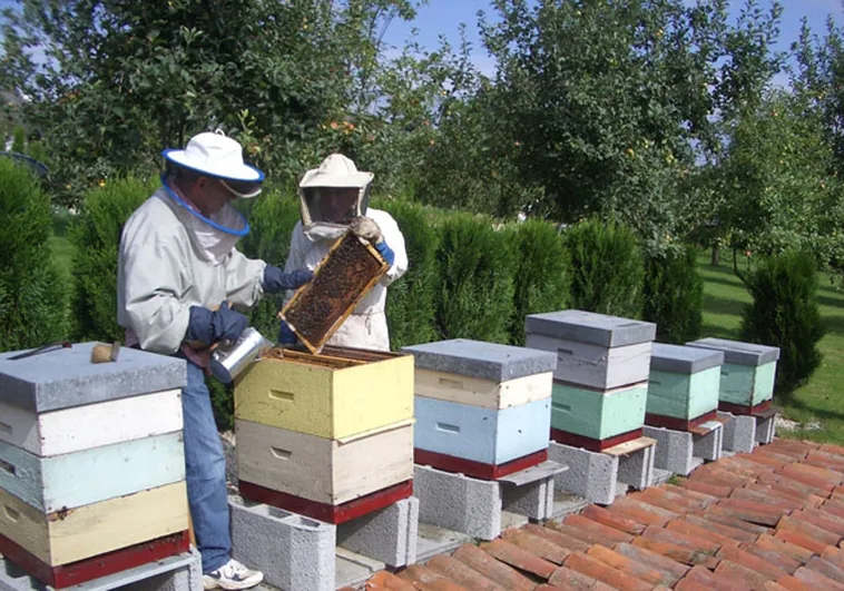 La apicultura, la gran olvidada de la rebaja de 20 céntimos a los combustibles