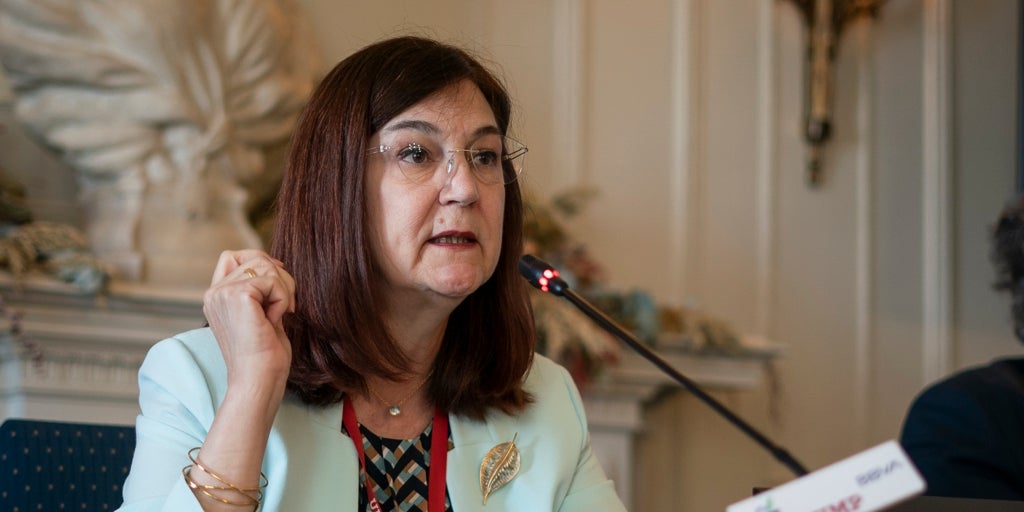 La CNMC critica la reforma de la tarifa regulada de la luz propuesta por el Gobierno