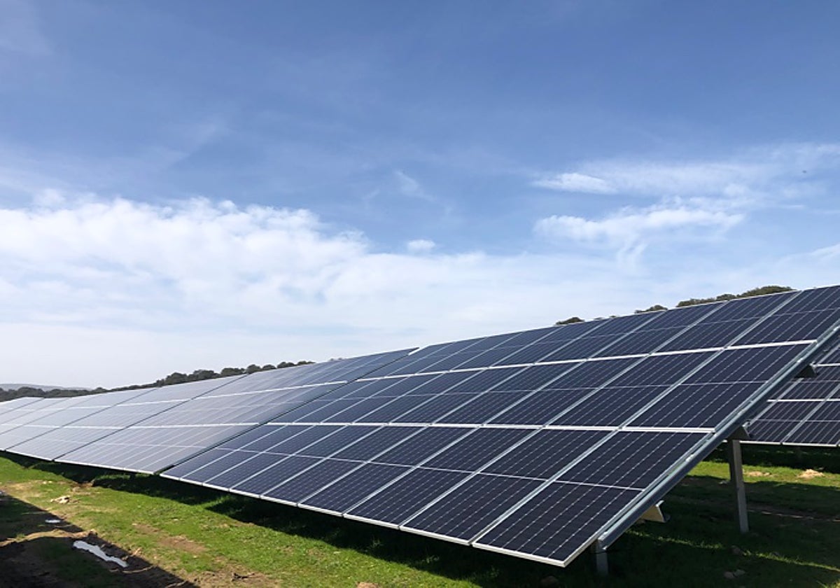 Planta fotovoltaica de Iberdrola en Extremadura