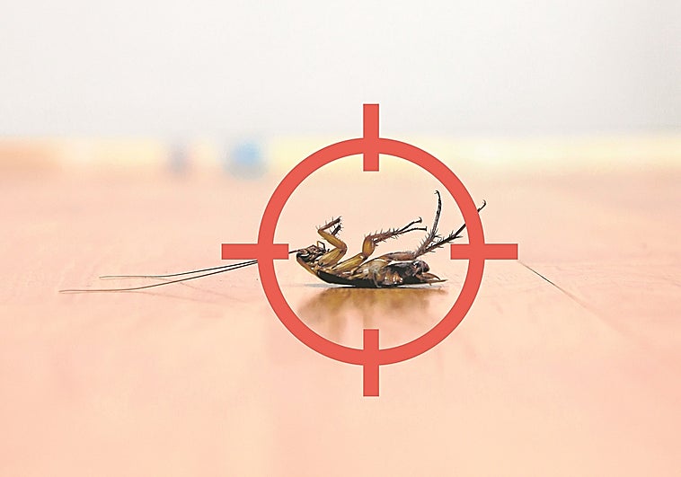 Los nuevos flautistas de Hamelín, así se reinventa el sector del control de plagas