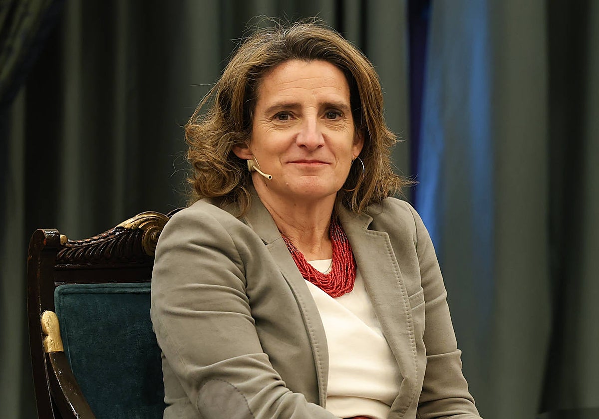 Teresa Ribera, vicepresidenta y ministra de Transición Ecológica de España
