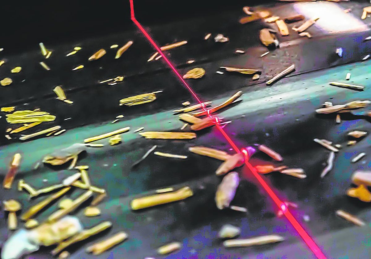 Tomra utiliza rayos X para detectar el material que está pasando por la cinta, de una manera idéntica a las radiografías del cuerpo humano, y expulsar las impurezas