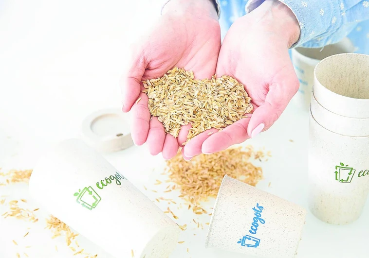 La empresa que fabrica vasos sostenibles con cáscara de arroz