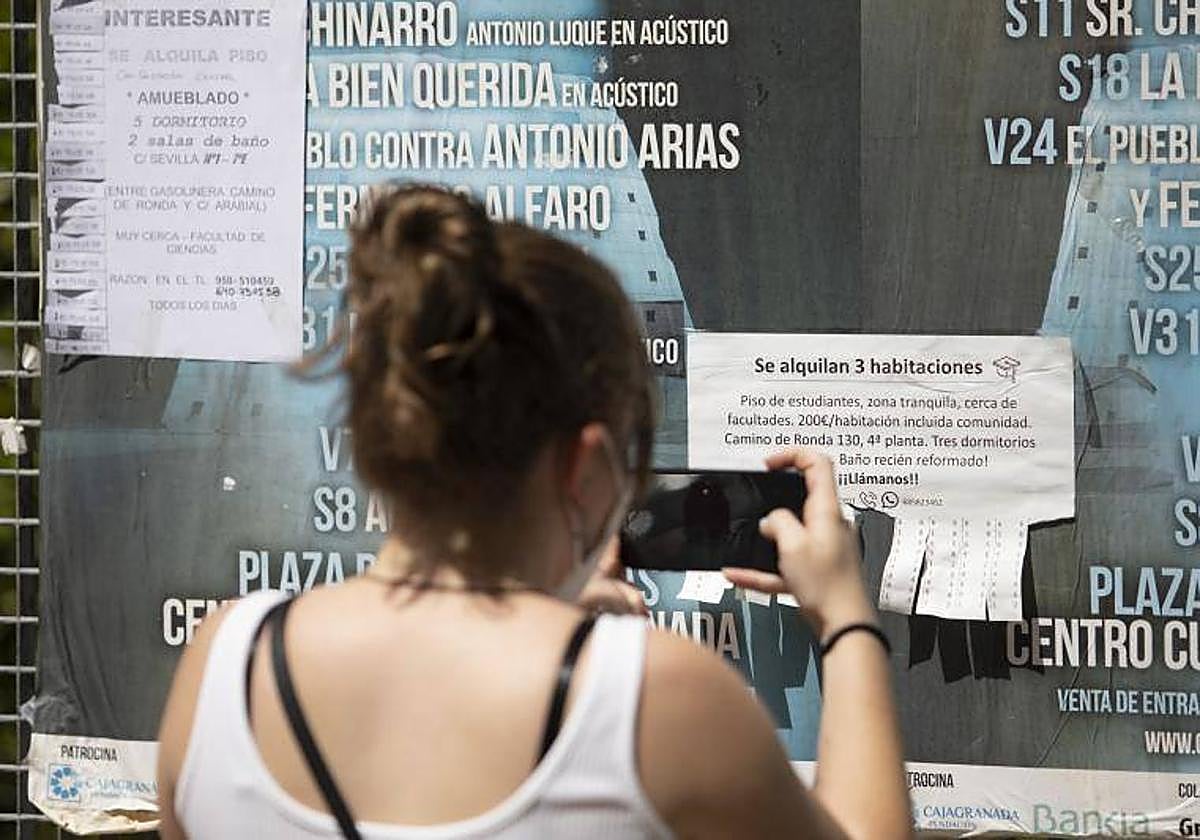 La demanda de habitaciones se ha disparado un 40% en las grandes ciudades durante los últimos meses