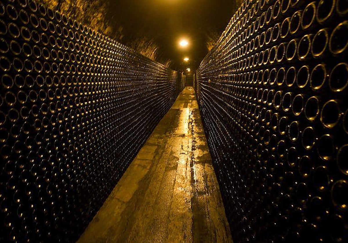 Bodega en Sant Sadurni D'anoia