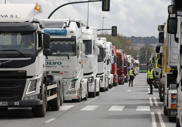 El sector de transporte de mercancías busca trabajadores: ¿qué se necesita para ser camionero en España?