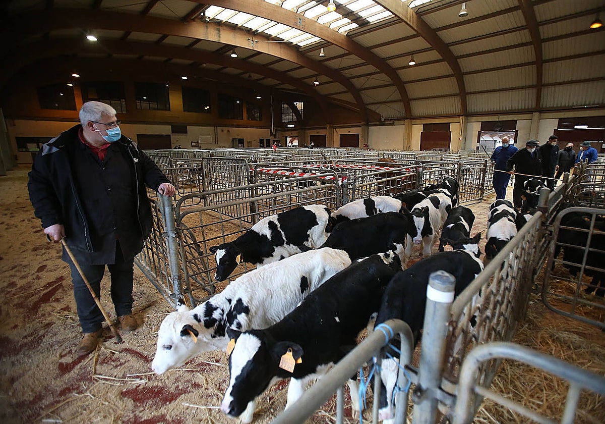 Ganaderos en una explotación