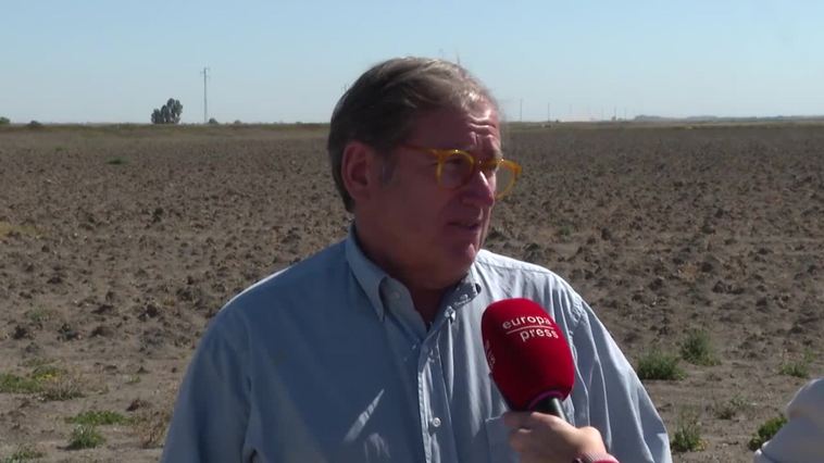 Arroceros piden plan de modernización integral frente a sequía al ser "inviable" la siembra este año