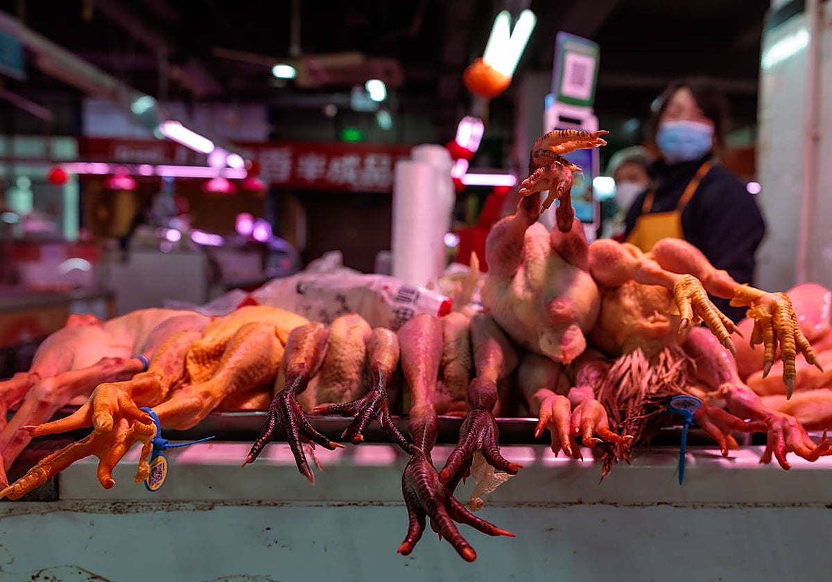 Un puesto de venta de aves en un mercado de Shanghái