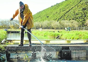 La acuicultura 'de tierra adentro' abre un mar de oportunidades al mundo rural