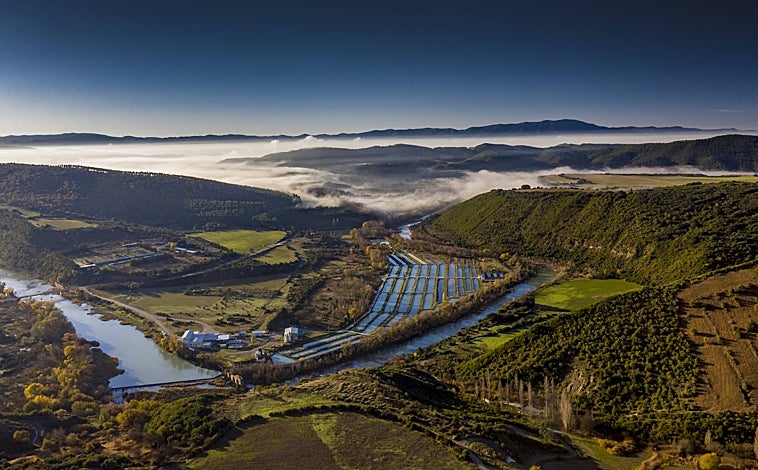 Imagen principal - Arriba, vista panorámica de los viveros de Yesa (Navarra) que pertenecen a Caviar Pirinea, una empresa que cuenta con tres piscifactorías en los Pirineos para la producción sostenible de caviar y trucha arco iris. Sobre estas líneas, izquierda, un ejemplar de esturión de Caviar Riofrío y, derecha, instalaciones de Piscifactoría Río Mundo