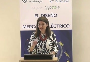 «Nadie ha dicho a la gente que la lavadora hay que ponerla entre las 12 y las 17 horas, no por la noche», advierte la presidenta del mercado eléctrico