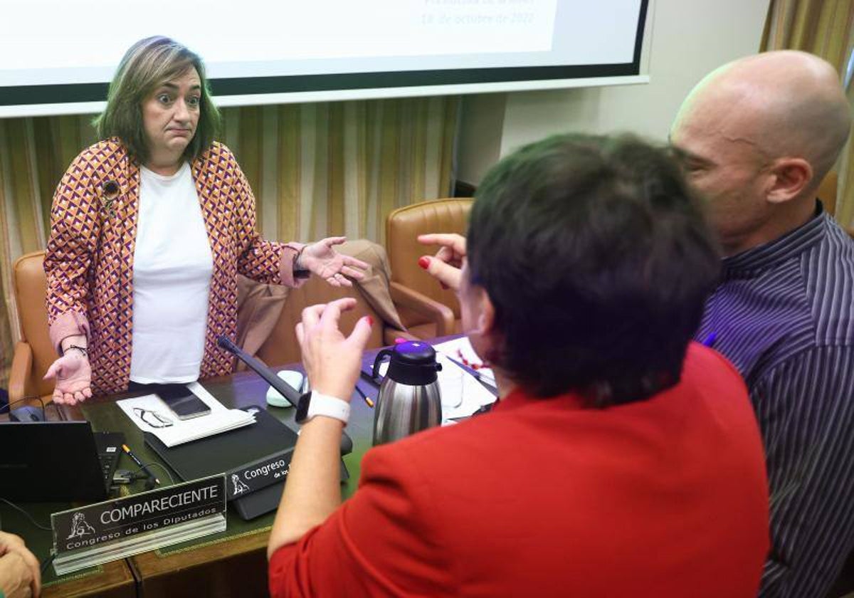 La presidenta de la Autoridad Fiscal, Cristina Herrero, en una comisión parlamentaria