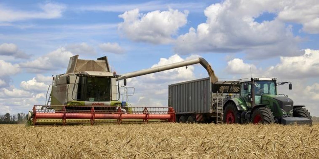Los cerealistas españoles temen subidas de precios por la suspension rusa del acuerdo del grano