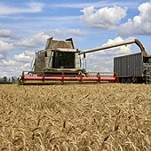 Los cerealistas españoles temen subidas de precios por la suspensión rusa del acuerdo del grano