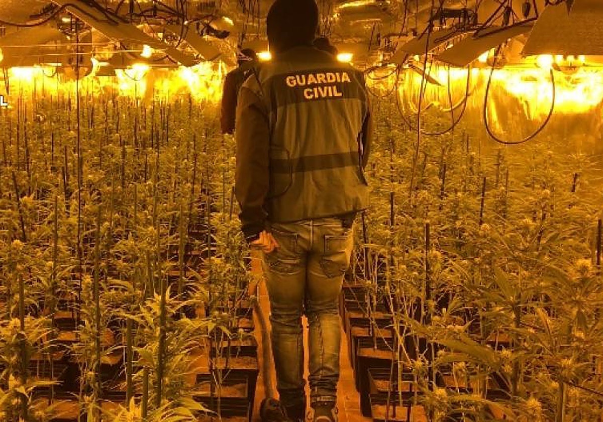 Intervención de la Guardia Civil en Toledo