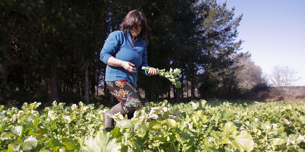 Las subidas del SMI incentivan el troceo del empleo y el estancamiento de las horas trabajadas