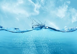 Una marea matemática para blindar la economía del océano