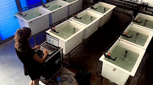 Sira Mogas-DíezSira Mogas, que suma a su formación en biología humana un máster en ingeniería biomédica computacional y un doctorado en biomedicina, puso en marcha la empresa Koa Biotech con el objetivo de identificar de forma temprana la presencia de patógenos en el agua