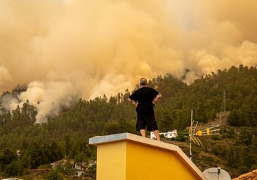 ¿Será la IA capaz de 'oler' el humo de un incendio?