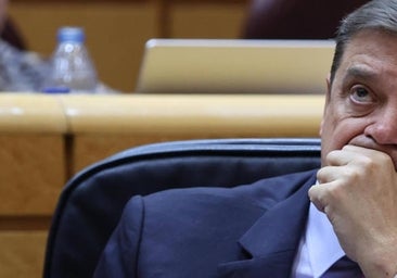 El Gobierno recupera la ley de desperdicio con multas de hasta 500.000 euros para las empresas