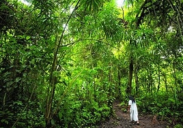 Turismo regenerativo: el viaje sostenible definitivo da sus primeros pasos