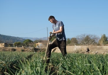 La reducción de jornada a 37,5 horas afectará a más de 12 millones de trabajadores y tendrá más impacto en el campo, comercio y hostelería