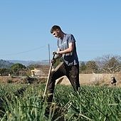 La reducción de jornada a 37,5 horas afectará a más de 12 millones de trabajadores y tendrá más impacto en el campo, comercio y hostelería