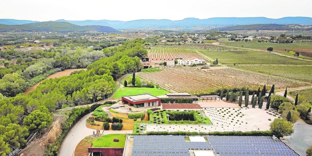 Torres Ailesi, iklim değişikliğine şarap adaptasyonunda dünya şampiyonu