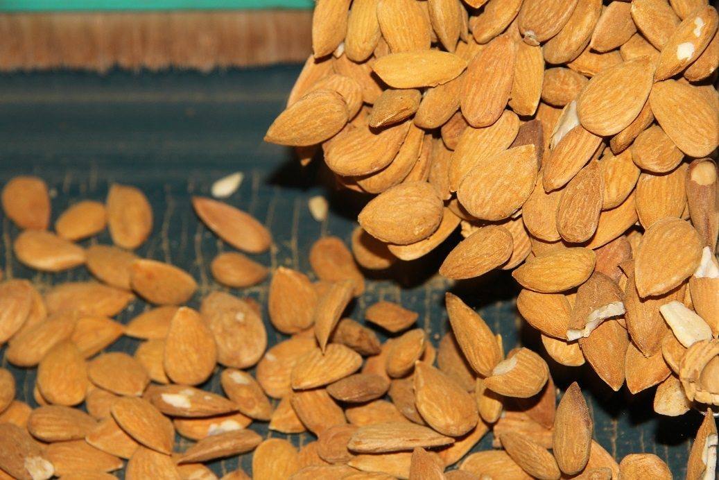 La almendra española se lanza a la conquista de China
