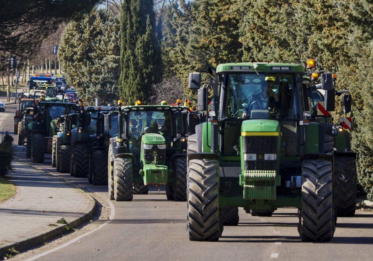 Protesta en Valladolid de agricultores y ganaderos