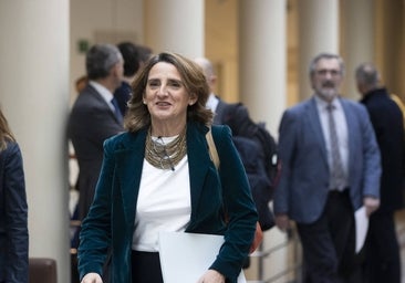 Ribera pide una posición común en Europa para acabar con las importaciones de gas ruso «cuanto antes»