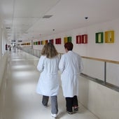 El TS pide a Europa que aclare cómo hacer fijos a miles de interinos del sector público