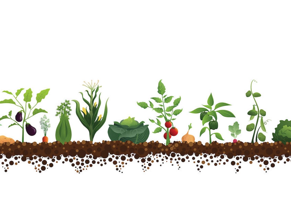 La gran huerta de Europa busca nuevos horizontes