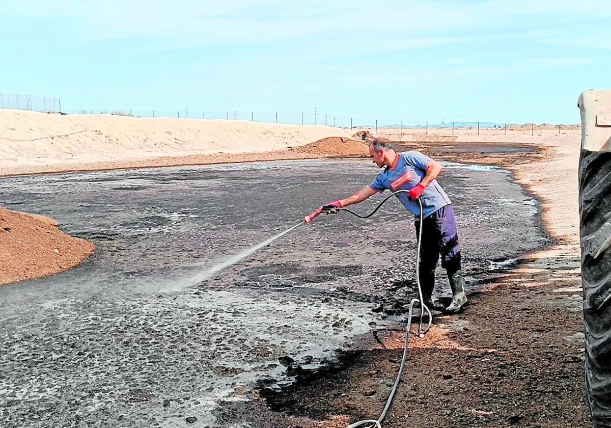 Biurelian Biotech es una startup con sede en Molina de Segura que propone el 'biohacking' agropecuario para reducir al menos el 80% de la contaminación que causan los purines