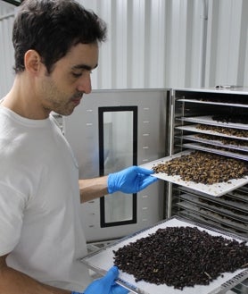 Imagen secundaria 2 - Las tres imágenes muestran las instalaciones de Galinsect que criaba el gusano de la harina y ahora es una biorrefinería de subproductos de gran valor