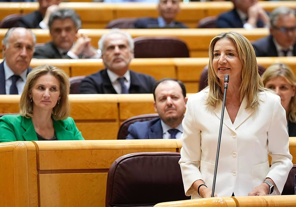 Alicia García, portavoz del Grupo Popular en el Senado