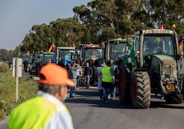 La Eurocámara apoya eximir de sanciones y controles ambientales de la PAC a pequeños agricultores