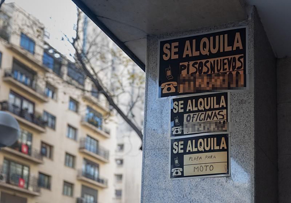 El mercado del alquiler es ya la jungla: hasta el 31% de los pisos se alquilan en menos de 24 horas