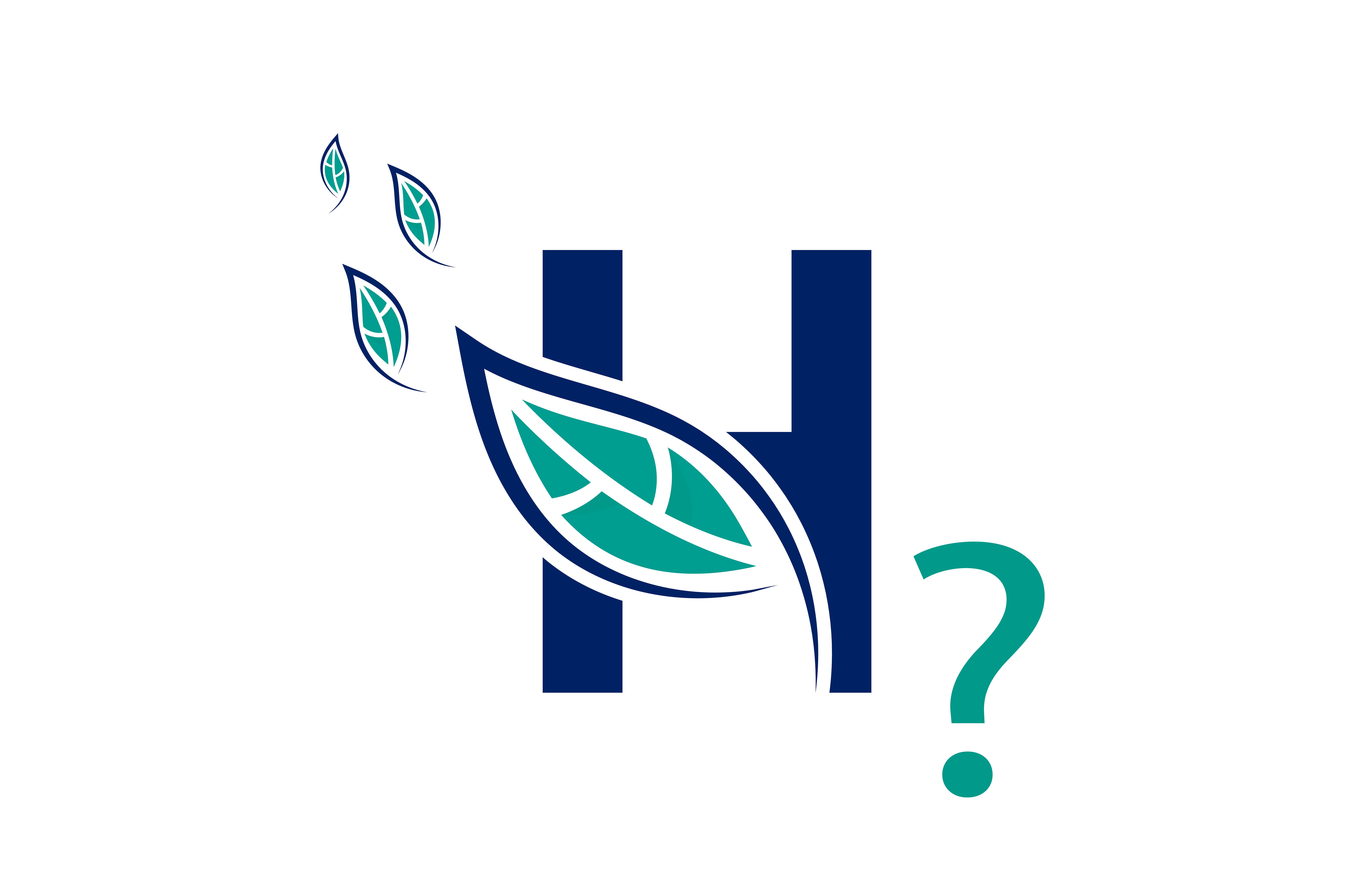 Los rivales de España en la carrera de fondo por el liderazgo del hidrógeno verde