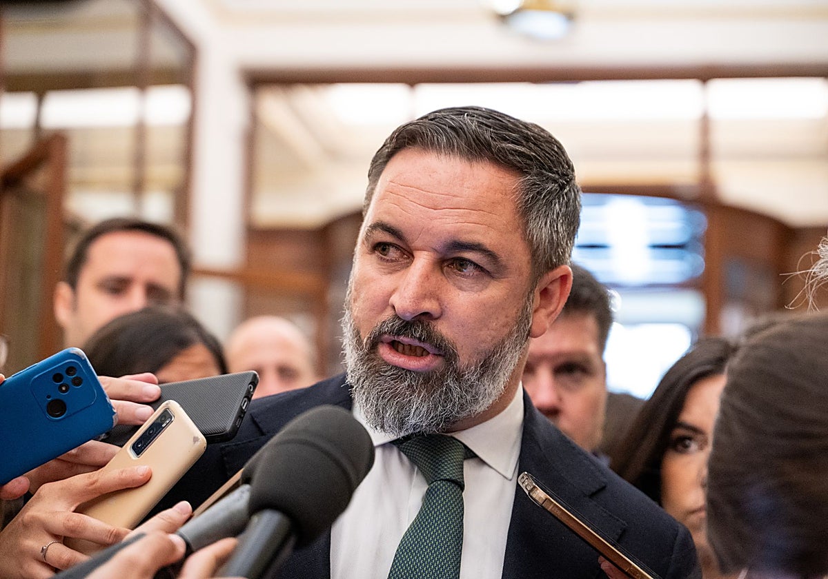 El líder de Vox, Santiago Abascal, en el Congreso de los Diputados