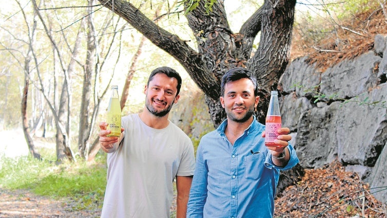 La tradición artesanal de la kombucha alcanza la madurez