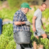 Los trabajadores mayores de 55 años se duplican en las últimas dos décadas